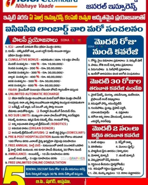 WhatsApp Image 2026-03-02 at 3.13.22 PM (1)