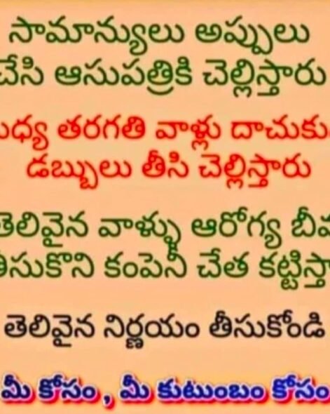 WhatsApp Image 2026-03-02 at 3.13.22 PM